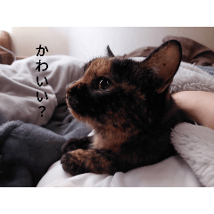 [LINEスタンプ] あいまるべる