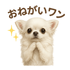 [LINEスタンプ] 子イヌverチワワ