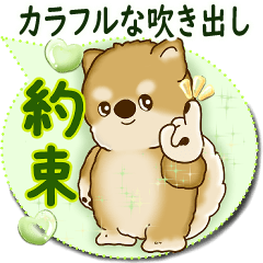 [LINEスタンプ] 柴犬 2025 「カラフルな吹き出し」
