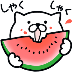 [LINEスタンプ] つかいやすいねこです。あぢ〜