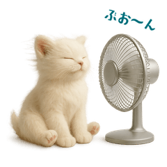 [LINEスタンプ] 毎日使えるふわもこ白猫ぬいぐるみスタンプ