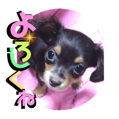 [LINEスタンプ] アトムの可愛い素顔