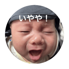[LINEスタンプ] かわいい坊の日常