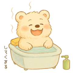 [LINEスタンプ] しろくまる｜まいにち使えるスタンプ