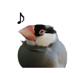 [LINEスタンプ] ピリッチョ