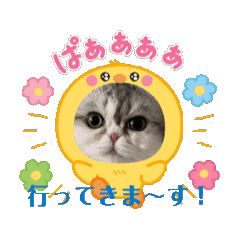 [LINEスタンプ] マイキャッ2－3