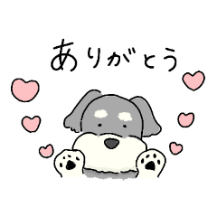 [LINEスタンプ] ゆるかわ♡シュナウザースタンプ