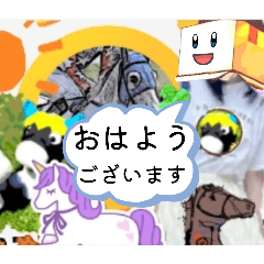 [LINEスタンプ] 競馬女子シランケドちゃん（夏）