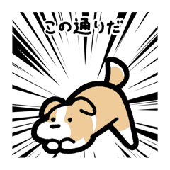 [LINEスタンプ] いつでも使えるボーダーコリー（薄茶白）