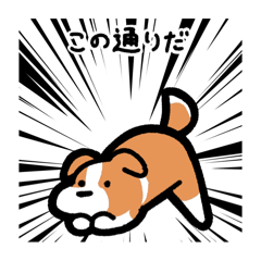 [LINEスタンプ] いつでも使えるボーダーコリー（赤白）