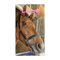 [LINEスタンプ] トーマステソーロとアンヘリート