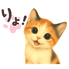[LINEスタンプ] 三毛猫ちゃんの使いやすいスタンプにゃ～