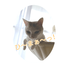 [LINEスタンプ] HARORIスタンプ②