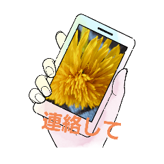 [LINEスタンプ] TENネン