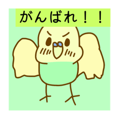 [LINEスタンプ] 色んな種類のインコちゃんスタンプ