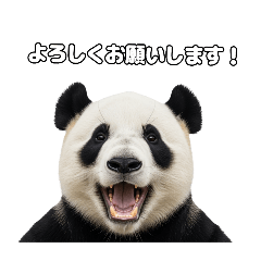 [LINEスタンプ] えあこんぱんだ