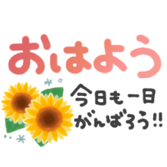 [LINEスタンプ] ＊夏＊シンプル＊見やすい＊文字スタンプ＊