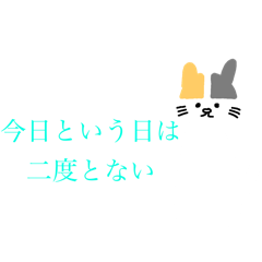 [LINEスタンプ] シンプルな猫と名言