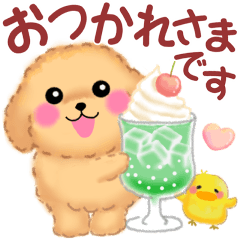 [LINEスタンプ] かわいいトイプードルの夏