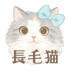 [LINEスタンプ] モフかわ毛長ねこピノの日常スタンプ