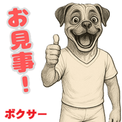[LINEスタンプ] ボクサーの喜怒哀楽スタンプ1