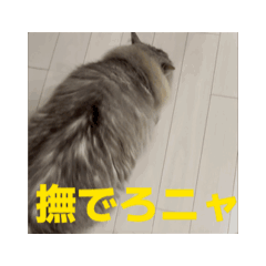 [LINEスタンプ] サイベリアンのふく