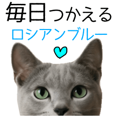 [LINEスタンプ] 毎日つかえる！ロシブル！【日常会話】