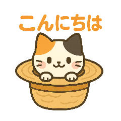 [LINEスタンプ] 収まりネコシリーズ、ビッグシリーズ 夏