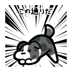 [LINEスタンプ] いつでも使えるボーダーコリー（青マール）