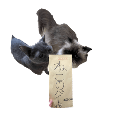 [LINEスタンプ] もつとまつ