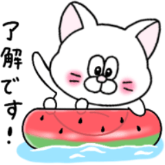 [LINEスタンプ] 夏！毎年使える！にゃんぴーす