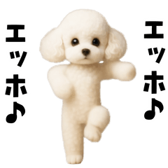 [LINEスタンプ] エッホエッホトイプードル