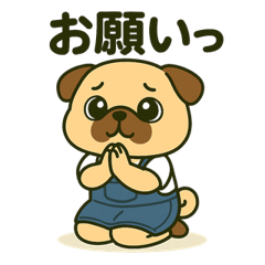 [LINEスタンプ] ころころなフォーンパグさん＊日常編＊