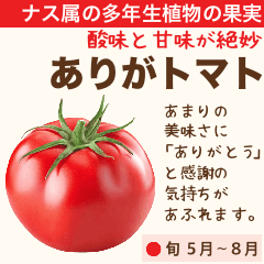[LINEスタンプ] 架空野菜果物図鑑