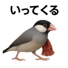 [LINEスタンプ] リアルな文鳥の日常表現LINEスタンプ
