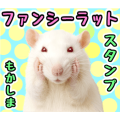 [LINEスタンプ] ファンシーラットの日常