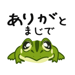 [LINEスタンプ] シャイガエル・とのくん