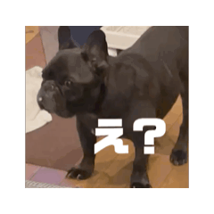[LINEスタンプ] おおきな川の方々 2