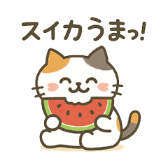 [LINEスタンプ] ミケタローの日常2