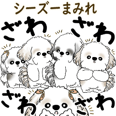 [LINEスタンプ] シーズー犬たち 2025 「シーズーまみれ」