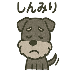 [LINEスタンプ] ごきげんシュナ 〜まいにち使える