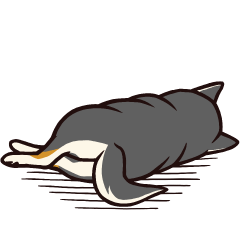 [LINEスタンプ] 人間味あふれる黒柴スタンプ