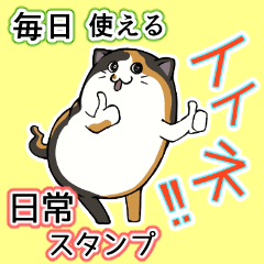 [LINEスタンプ] 猫の日常スタンプ(毎日)
