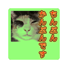 [LINEスタンプ] ハニーバニーちゃん prototype ver.0.3
