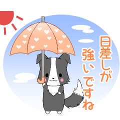 [LINEスタンプ] ちびボーダー22【夏】