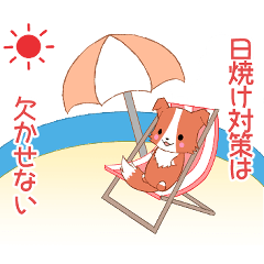 [LINEスタンプ] 飛び出す！ちびボーダー22【夏】