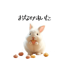 [LINEスタンプ] うさぎ うさぎ うさぎちゃん