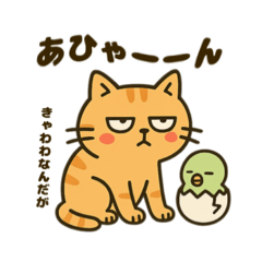 [LINEスタンプ] だってねこだもの 日常挨拶編の画像（メイン）