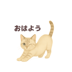 [LINEスタンプ] 愛猫スタンプ〜いつも一緒！〜