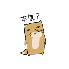 [LINEスタンプ] やる気をなくしたチベットスナギツネたち